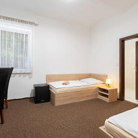 Penzion Sezemice בית הארחה 4*